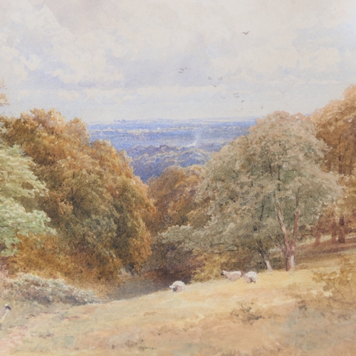 161 - Sutton Palmer, watercolour, sheep in landscape, signed and dated 1884, 9.5