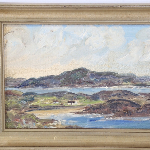 212 - Mid-20th century Irish School, oil on board, Connemara landscape, unsigned, 3.75