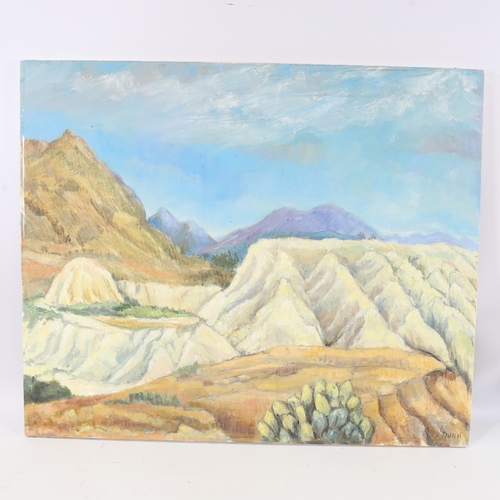 289 - Lorna Dunn, pair of oils on canvas, Continental mountain landscapes, 20