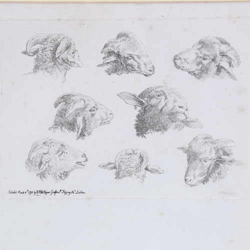 294 - Robert Hills, a sheet of etchings, studies of sheep, published by Hills in 1798, each plate 5