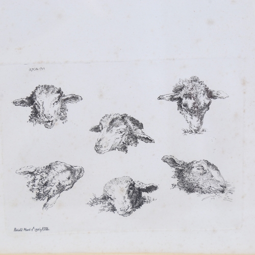 294 - Robert Hills, a sheet of etchings, studies of sheep, published by Hills in 1798, each plate 5