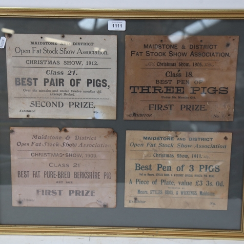 1111 - A set of 4 Maidstone & District Fat Stock Show Association Prize Cards for Prize Pigs, 1905 - 1912, ... 