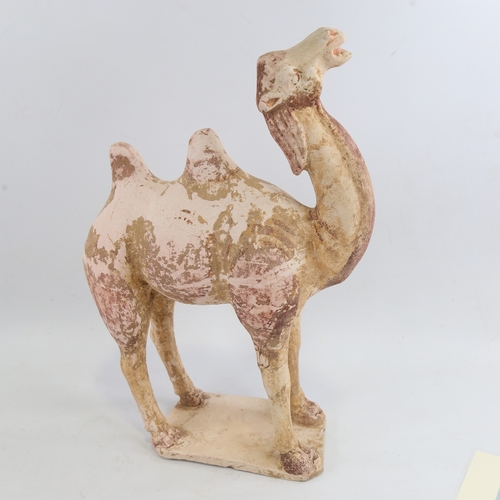 150 - A Chinese Tang Dynasty pottery Bactrian camel (618-906AD), the body painted with original pigment ge... 