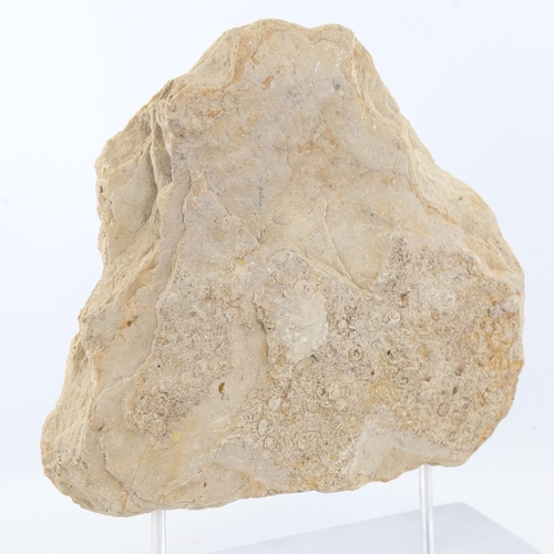 2206 - Chris Watson, Cave Art, stone/paint on metal and wood stand, height 14