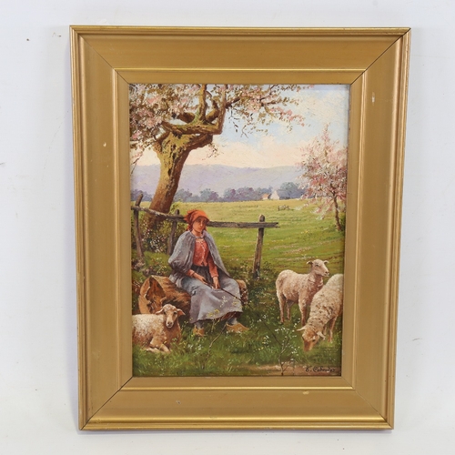 2234 - A Continental oil on panel, circa 1900, shepherdess and sheep, indistinctly signed, 10