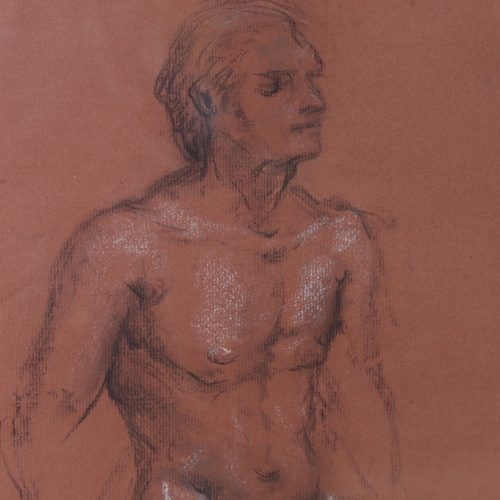 2254 - Anso, 3 charcoal/chalk on coloured paper, life studies, largest 27