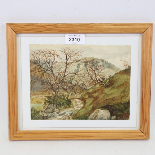 2310 - J H Dalziel, Lochearnhead, watercolour, signed with initials, original label verso dated 1887, 6