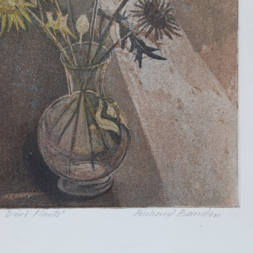 2319 - Richard Bawden, artist's proof print, small dried plants, signed in pencil, plate 6.5