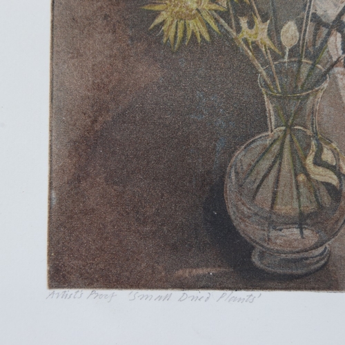 2319 - Richard Bawden, artist's proof print, small dried plants, signed in pencil, plate 6.5