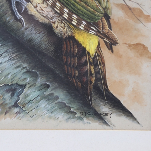 2350 - G J C Kirby (born 1912), woodpecker, gouache on paper, signed, 11