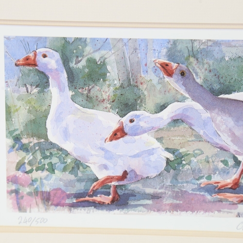 2418 - Mary Ann Rogers, Goose Step, limited edition lithograph, image 5