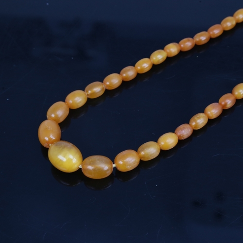 1211 - A Vintage single-strand polished graduated butterscotch amber bead necklace, beads ranging from 17.1... 