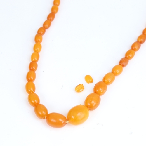 1211 - A Vintage single-strand polished graduated butterscotch amber bead necklace, beads ranging from 17.1... 