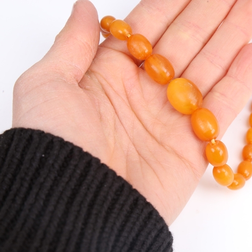 1211 - A Vintage single-strand polished graduated butterscotch amber bead necklace, beads ranging from 17.1... 