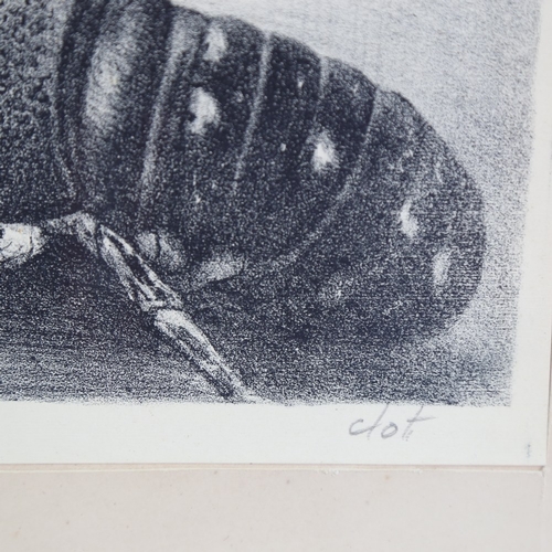 1328 - R Clot, lithograph, lobster, circa 1940s, image 6.5