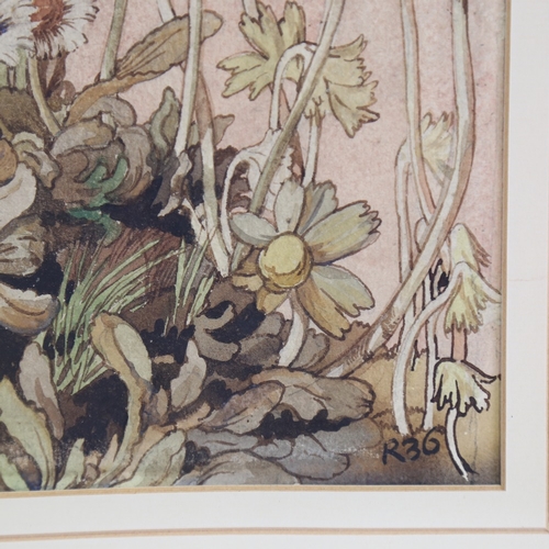 1348 - Watercolour on paper, botanical study, initial R36, 13