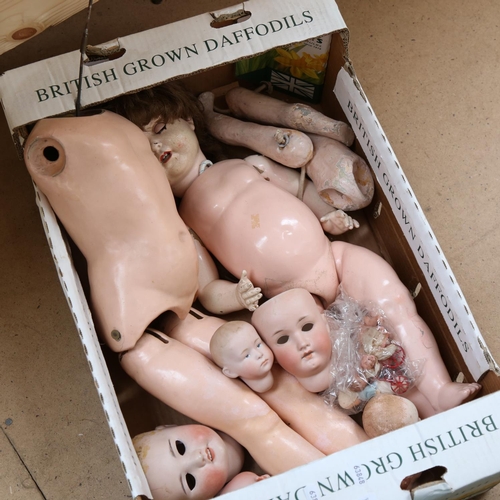 442 - A group of porcelain and composition dolls