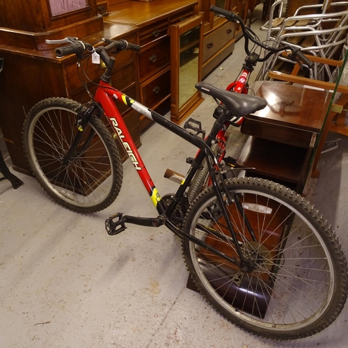 2021 - A gent's Raleigh Rave mountain bike