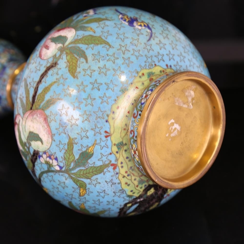 170 - A Chinese cloisonne enamel garlic-neck vase with prunus design, height 25cm