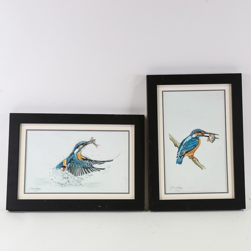 1801 - Clive Fredriksson, pair of oils on board, Kingfishers, overall frame dimensions 44cm x 31cm