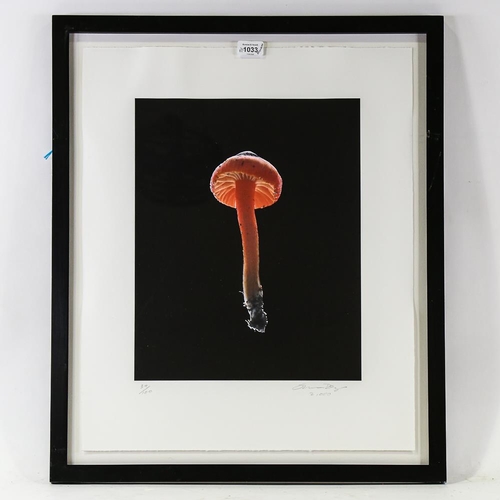 2125 - Susan Derges, iris print, Fruitbody No. 37, 1999, signed in pencil, no. 34/100, image 16.5