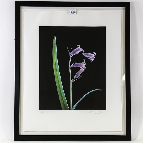 2126 - Susan Derges, iris print, Bluebell Number 1, 2000, signed in pencil, no. 33/100, image 16.5