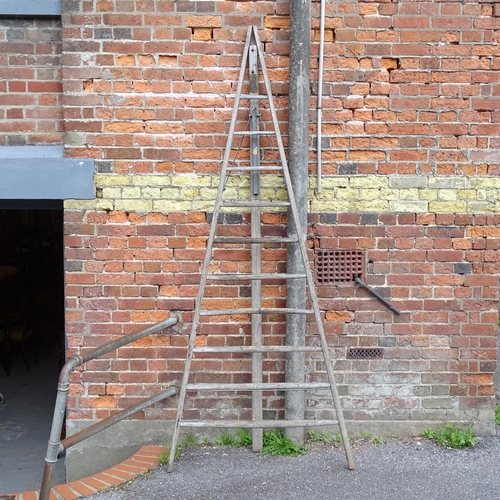 2573 - A Vintage apple picker's ladder, L260cm