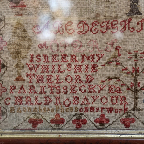 625 - A 19th century sampler, depicting Adam and Eve, by Annabelle Phells, framed, height 50cm overall