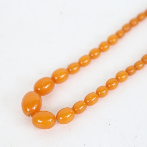 1090 - A graduated single row amber bead necklace, necklace length 44cm, 25.4g