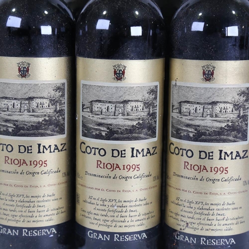 1021 - 12 bottles of Coto de Imaz, 1995 Gran Reserva, Rioja DOC