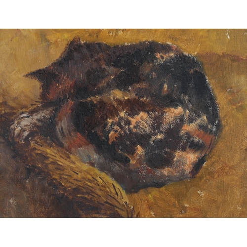 1784 - Nancy Sharp, oil on board, sleeping cat, 1934, artist's label verso, 8.5