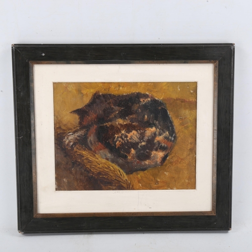 1784 - Nancy Sharp, oil on board, sleeping cat, 1934, artist's label verso, 8.5