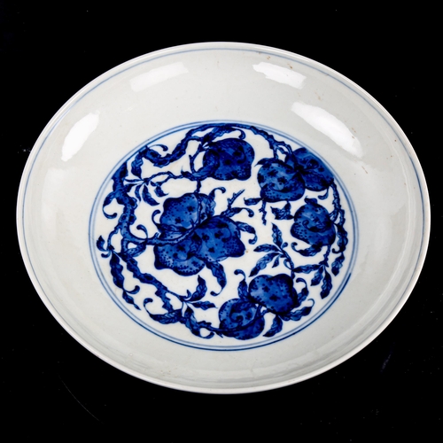 187 - A Chinese blue and white porcelain bowl, exotic fruit design, seal mark, diameter 23cm