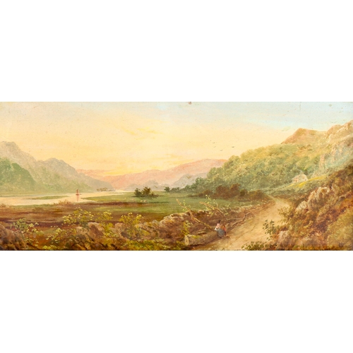 1330 - 19th century oil on board, mountain landscape, signed with monogram, 20cm x 45cm, framed