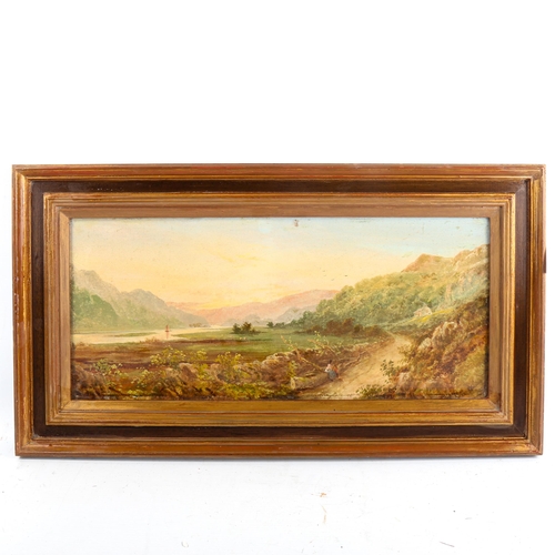 1330 - 19th century oil on board, mountain landscape, signed with monogram, 20cm x 45cm, framed