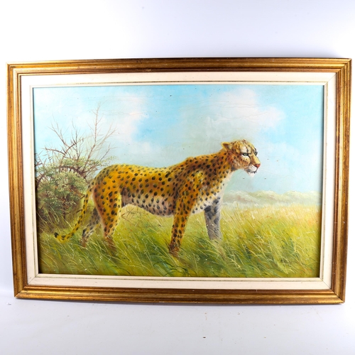 1364 - A King, oil on canvas, cheetah, 61cm x 90cm, framed