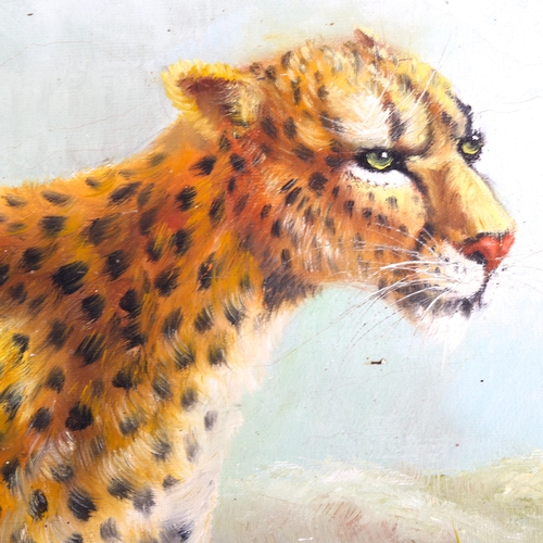 1364 - A King, oil on canvas, cheetah, 61cm x 90cm, framed