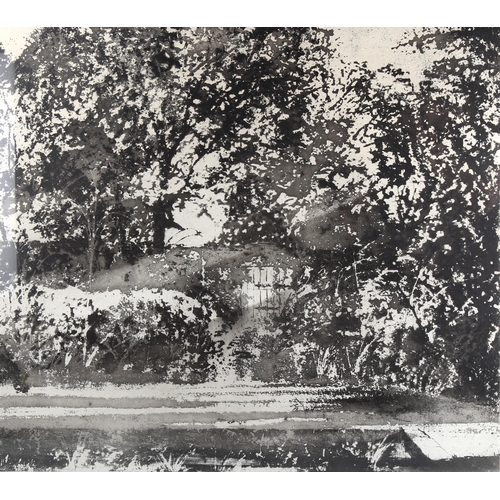 1370 - Norman Ackroyd, large etching, mid summer morning - Charleston, signed in pencil, 1989, no. 15/60, i... 