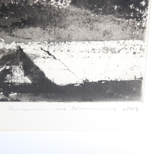 1370 - Norman Ackroyd, large etching, mid summer morning - Charleston, signed in pencil, 1989, no. 15/60, i... 