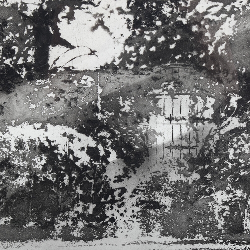 1370 - Norman Ackroyd, large etching, mid summer morning - Charleston, signed in pencil, 1989, no. 15/60, i... 