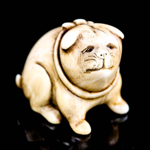 211 - A Japanese ivory netsuke in the form of a dog, in the manner of Ohara Mitsuhiro, unsigned, height 2.... 