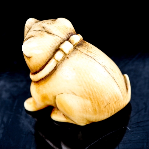 211 - A Japanese ivory netsuke in the form of a dog, in the manner of Ohara Mitsuhiro, unsigned, height 2.... 