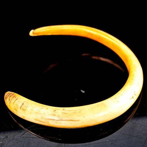 212 - Vanuatu Tribal wild boar tusk money/currency, diameter 9cm