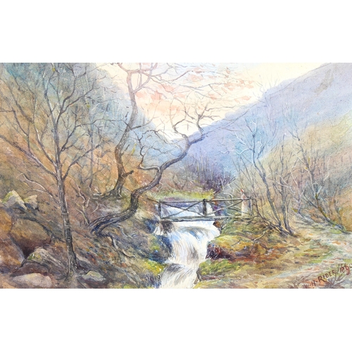 1477 - W H Rider, watercolour, a mountain stream, signed and dated 1899, 24cm x 35cm, framed