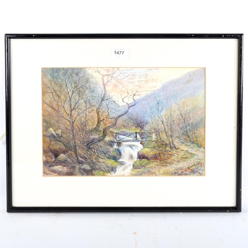 1477 - W H Rider, watercolour, a mountain stream, signed and dated 1899, 24cm x 35cm, framed