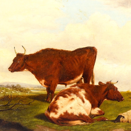 1486 - J Ware, 19th century oil on canvas, cattle and sheep on a hilltop, signed and dated 1868, 30cm x 40c... 