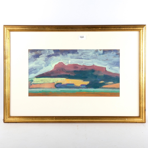 1541 - Robin Holtom, oil on board, hill near St David's, signed with monogram, 24cm x 47cm, framed