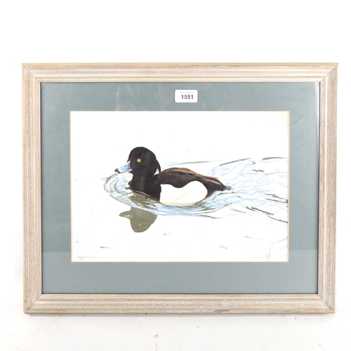 1551 - Michael Jevon, gouache on board, tufted duck, signed, 26cm x 36cm, framed