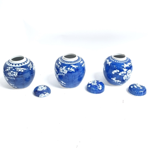 422 - 7 Chinese blue and white ginger jars, with prunus decoration, tallest 16cm