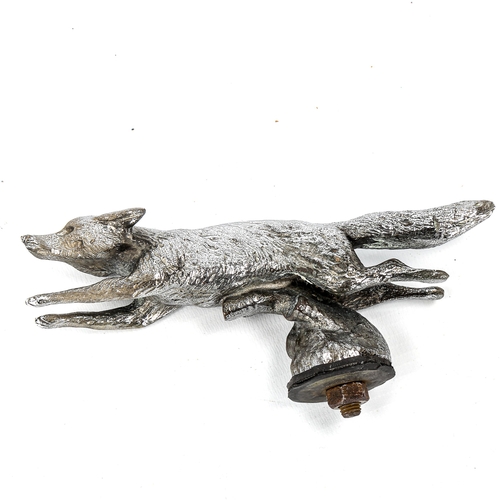 1042 - A chrome plate running fox design car mascot, early 20th century, length 13.5cm